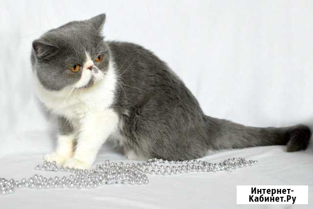 Вязка Санкт-Петербург - изображение 1