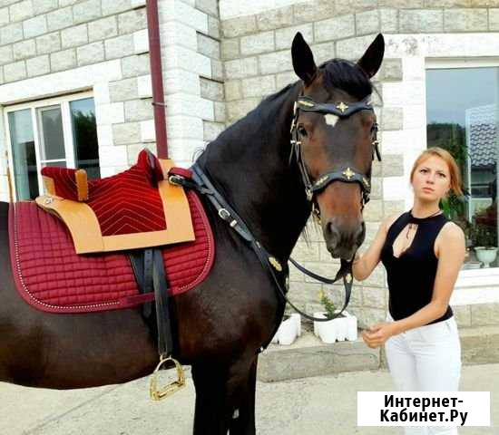 Лошадь, маламуты и волк для фотосессий Маркова - изображение 1