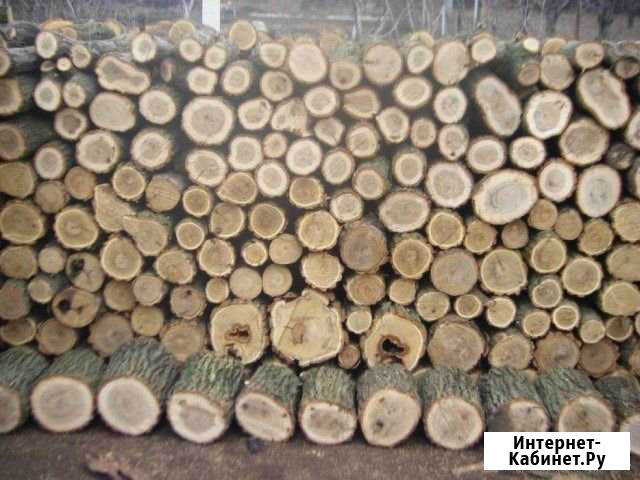 Дрова Ростов-на-Дону - изображение 1