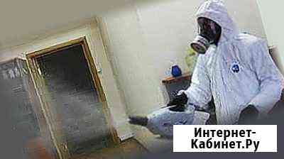 Уничтожение клопов, тараканов и др. насекомых Уфа