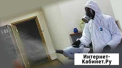 Уничтожение клопов, тараканов и др. насекомых Уфа - изображение 1