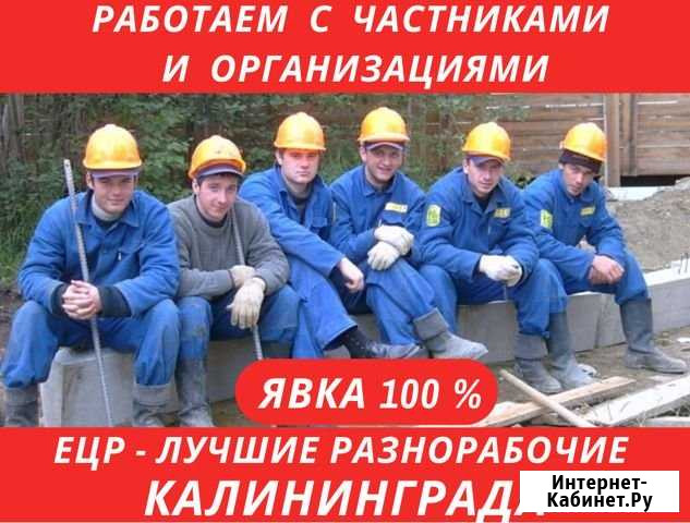 Услуги разнорабочих без посредников Калининград - изображение 1