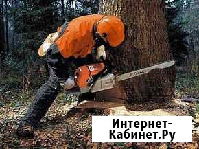 Спил деревьев,уборка участков Симферополь - изображение 1