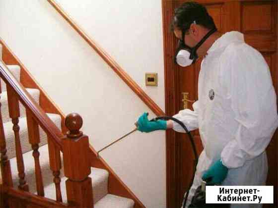 Дезинфекция Воронеж