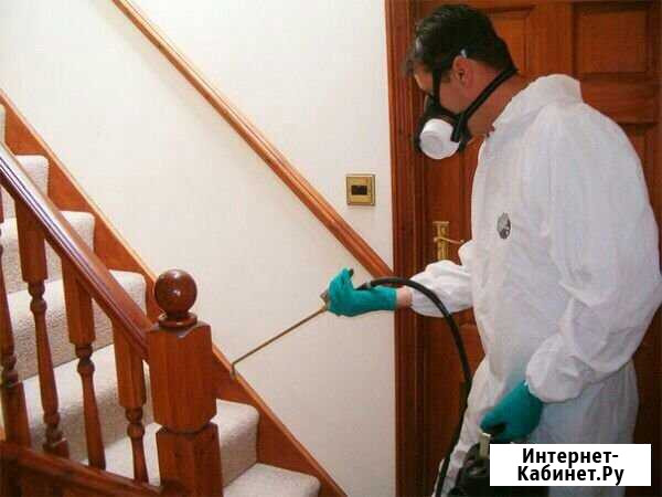 Дезинфекция Воронеж - изображение 1
