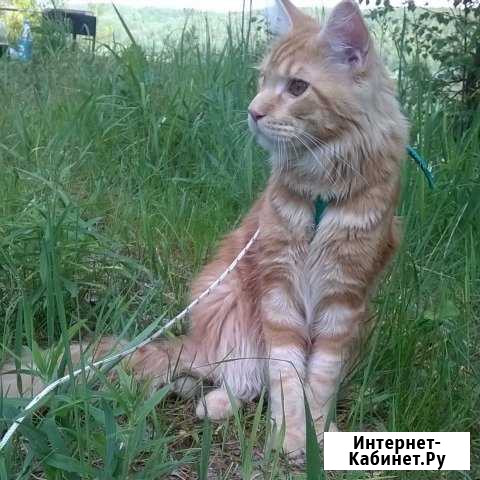 Приглашаем на вязку Дзержинск - изображение 1