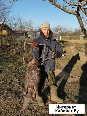 Мастер на час Новочеркасск - изображение 1