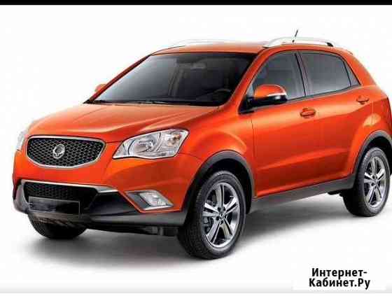 Замена цепи грм ssang yong actyon Бугры