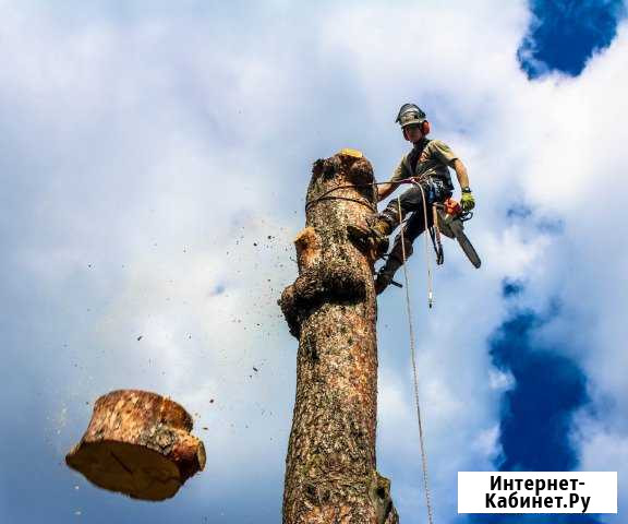 Спил деревьев, удаление деревьев Одинцово - изображение 1