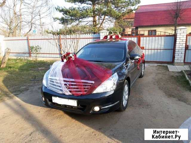 Авто на свадьбу Великие Луки - изображение 1
