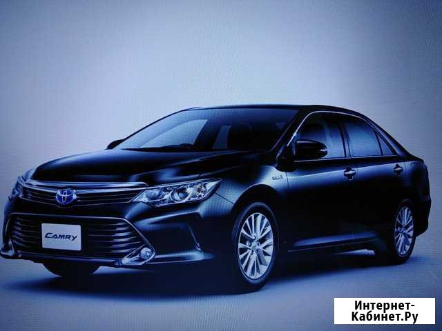 Заказ автомобиля бизнес класса Владимир - изображение 1