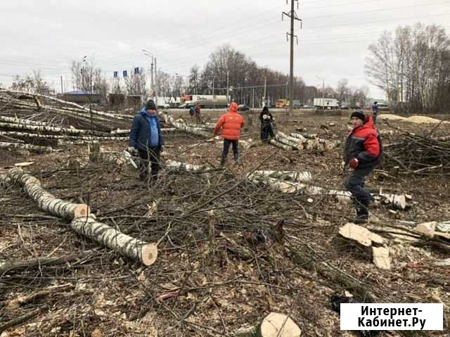 Спил деревьев Владимир - изображение 1