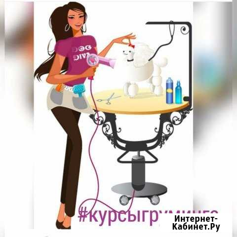 Курсы груминга Уфа - изображение 1