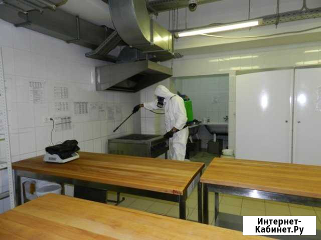 Уничтожение тараканов, грызунов Иваново - изображение 1