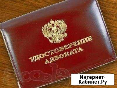 Адвокат Шалаев Александр Юрьевич Камышин - изображение 1