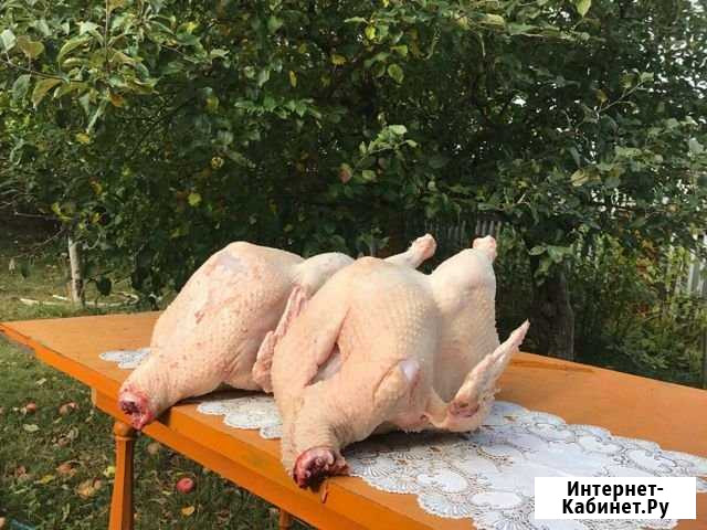 Мясо индюшки Чебоксары - изображение 1