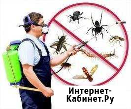 Дезинсекция. Уничтожение насекомых(блох, тараканов Саратов - изображение 1
