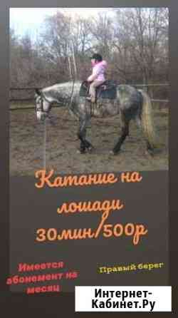 Катание на лошади. Верховая езда Красноярск