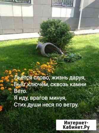 Стихи, поздравления Чехов