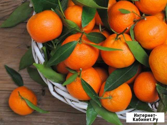 Овощи И фрукты Самара - изображение 1