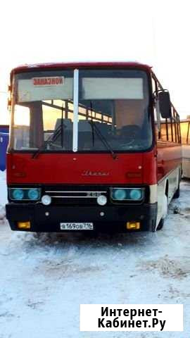 Пассажирские перевозки Нижнекамск - изображение 1