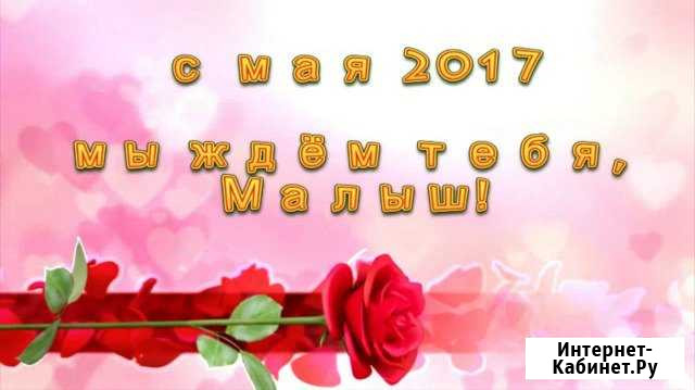 Создание видеоролика, клипа. Видеосъёмка Новосибирск - изображение 1