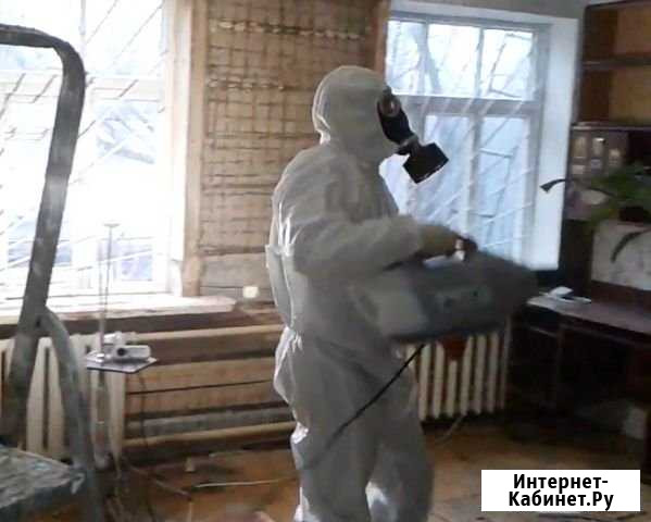 Уничтожение клопов, тараканов, мышей, крыс Балашиха - изображение 1