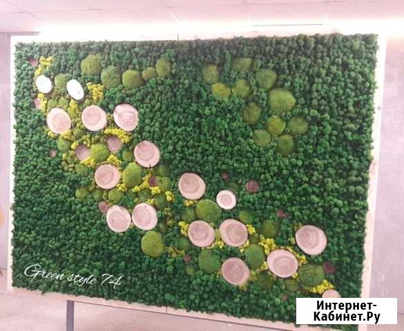 Фотозона в аренду Челябинск - изображение 1