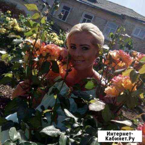 Музыкант Шахты