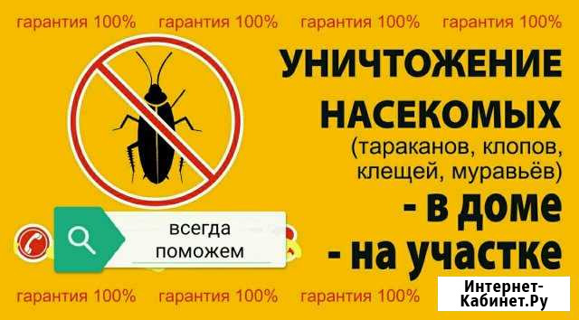 Уничтожение,обработки от насекомых клопов,таракано Красноярск - изображение 1