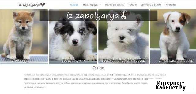 Создание сайтов с продвижением и рекламой Владимир - изображение 1