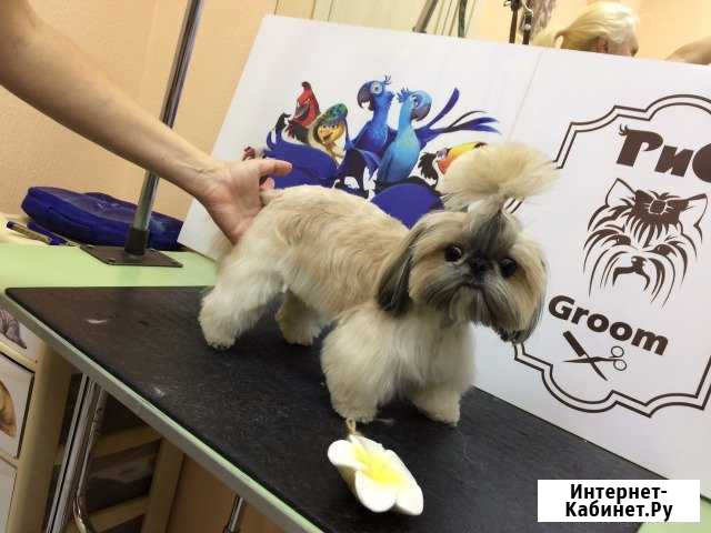 Стрижки кошек и собак Иркутск - изображение 1