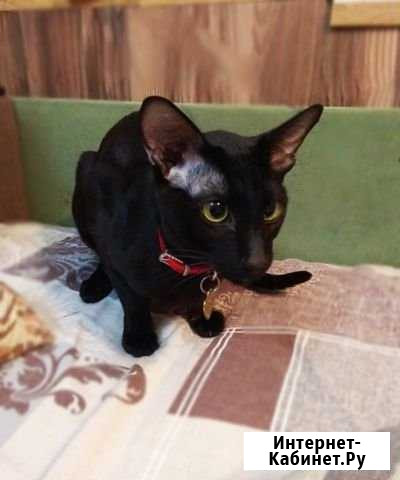 Вязка Санкт-Петербург - изображение 1