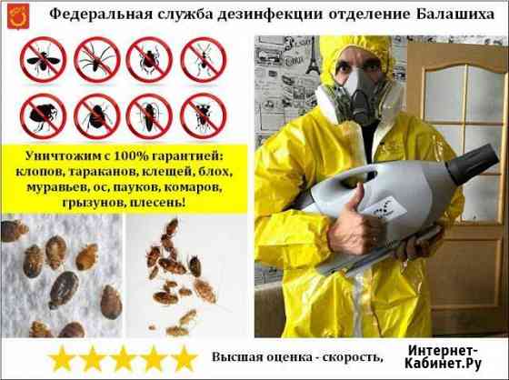 Уничтожение клопов, тараканов, клещей, насекомых Балашиха