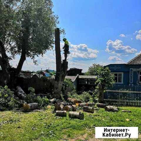 Киржачский р-н. Спилить дерево. Спил деревьев.Валк Киржач - изображение 1