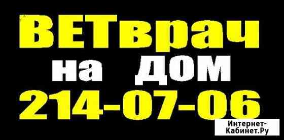Ветеринарный врач на дом Казань