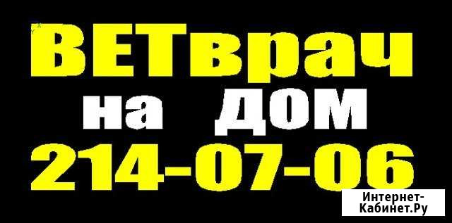 Ветеринарный врач на дом Казань - изображение 1