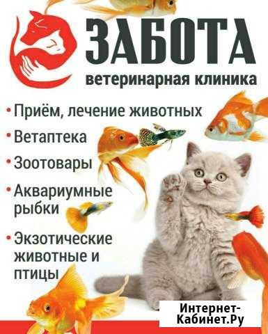 Ветеринарная клиника Забота Югорск - изображение 1