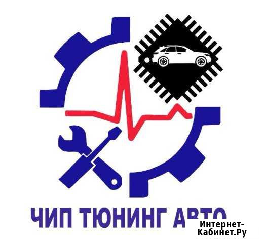Чип тюнинг/скупка катализаторов Магнитогорск - изображение 1