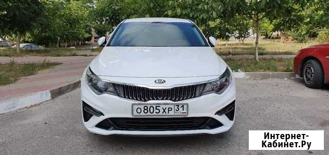 Аренда авто с водителем Белгород - изображение 1