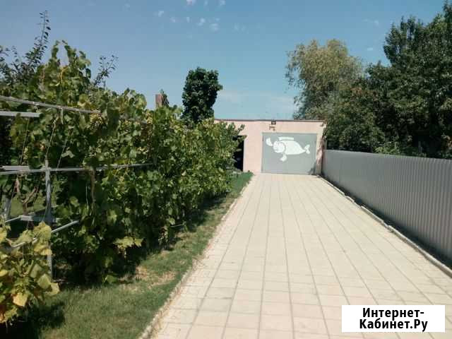 Рыбалка и отдых Камызяк - изображение 1