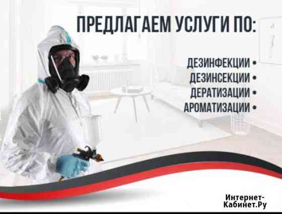 Леквидация насекомых Коломна