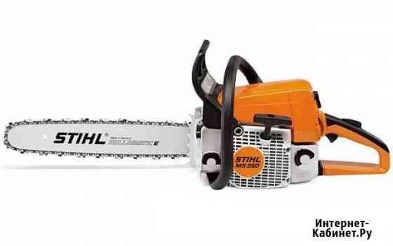 Аренда (прокат) бензопилы Stihl MS 250, MS 440 Калининград