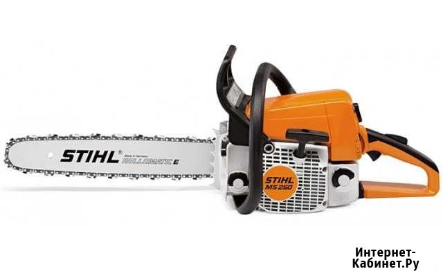 Аренда (прокат) бензопилы Stihl MS 250, MS 440 Калининград - изображение 1