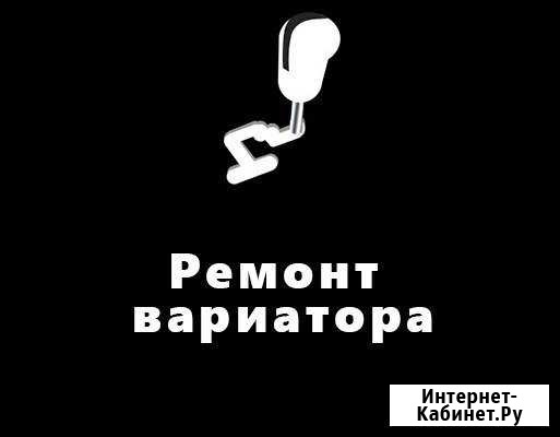 Ремонт и обслуживание вариатора (CVT) Петрозаводск - изображение 1