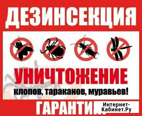 Уничтожение тараканов, клопов, блох,клещей Самара - изображение 1
