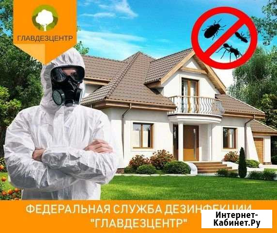 Уничтожение клопов тараканов муравьёв Омск - изображение 1