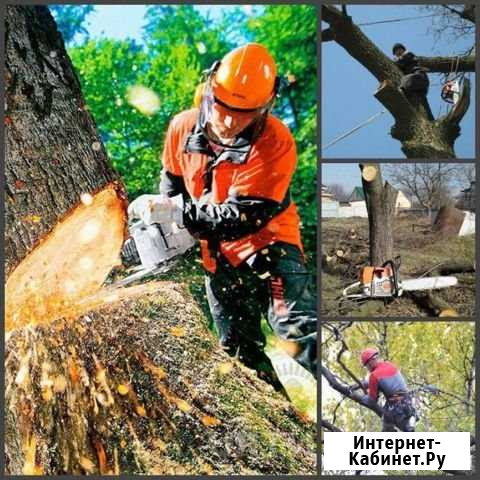 Спил деревьев, уборка территории, вывоз мусора Самара - изображение 1