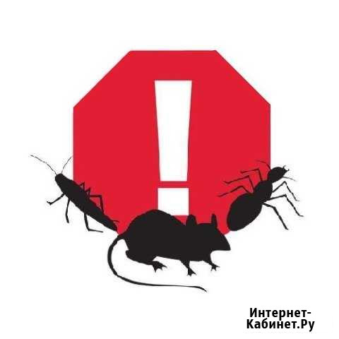 Уничтожение тараканов, клопов, клещей и грызунов Пермь - изображение 1