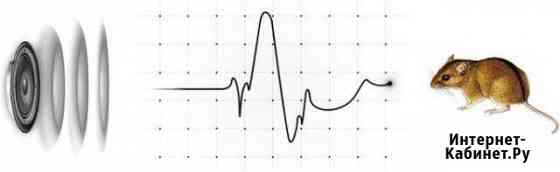 Избавим от мышей и крыс отпугивателями Самара